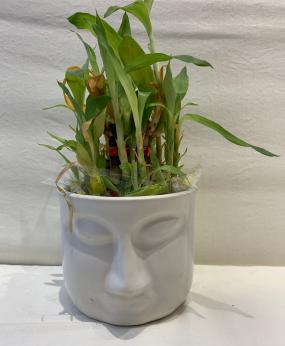 Tailos Ceramic Budha Planter Plant Pot Container Garden Accessories